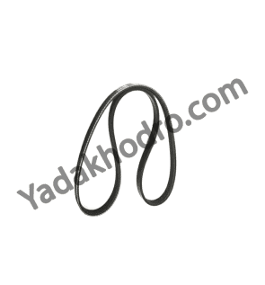 -شاهین-e1741435008193.png
